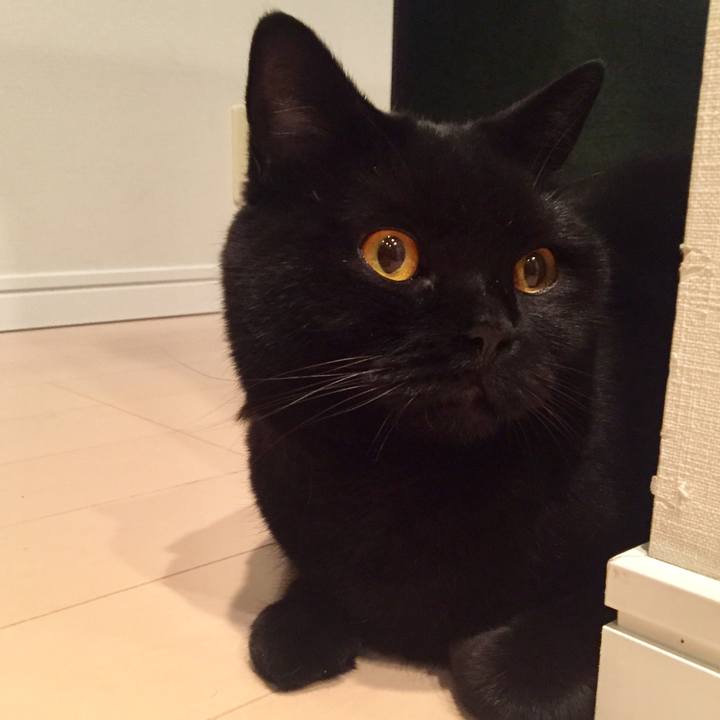 B08786b3 0dc1 4cc2 88f8 83dd72a071bc 1563193887457