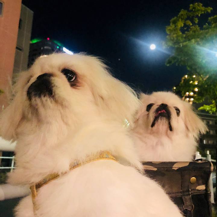 B087959c 0c86 49aa b154 3947c589d746 1601643013798