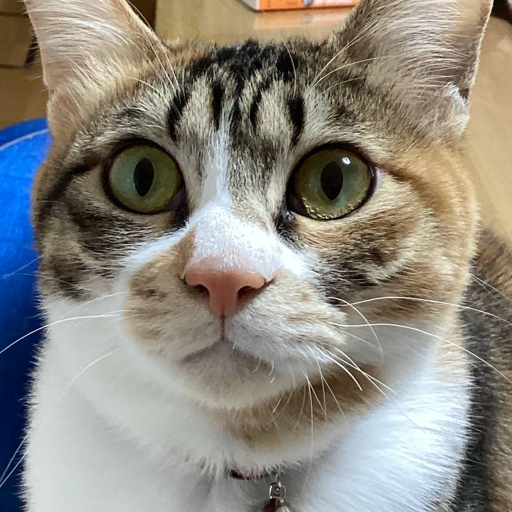 B087c87b 668e 448a b49f 270ee66d4344 1676673764859