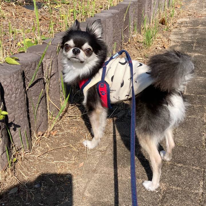 B0884048 2360 4ee0 bc9c 1d4ce9731aee 1699025869747