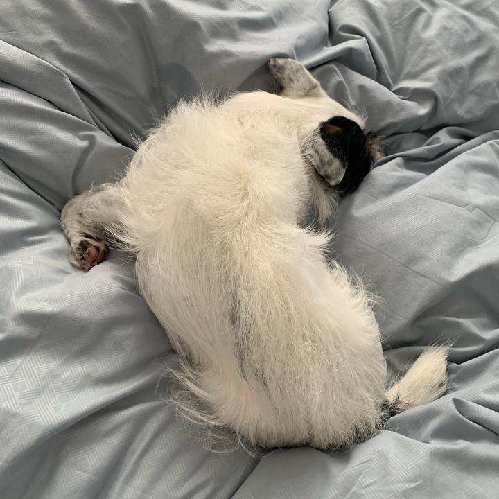 B0887503 73b9 49ec 8c64 2d0cc6238f6f 1564991791942