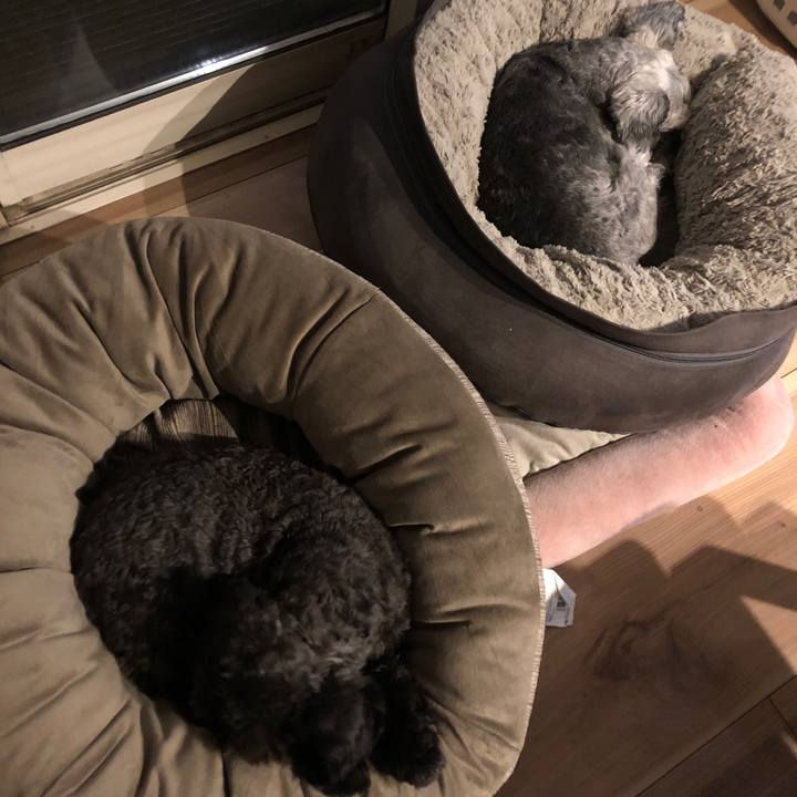 B08878c7 ad23 412d b252 125cdcc4fbac 1710079565398