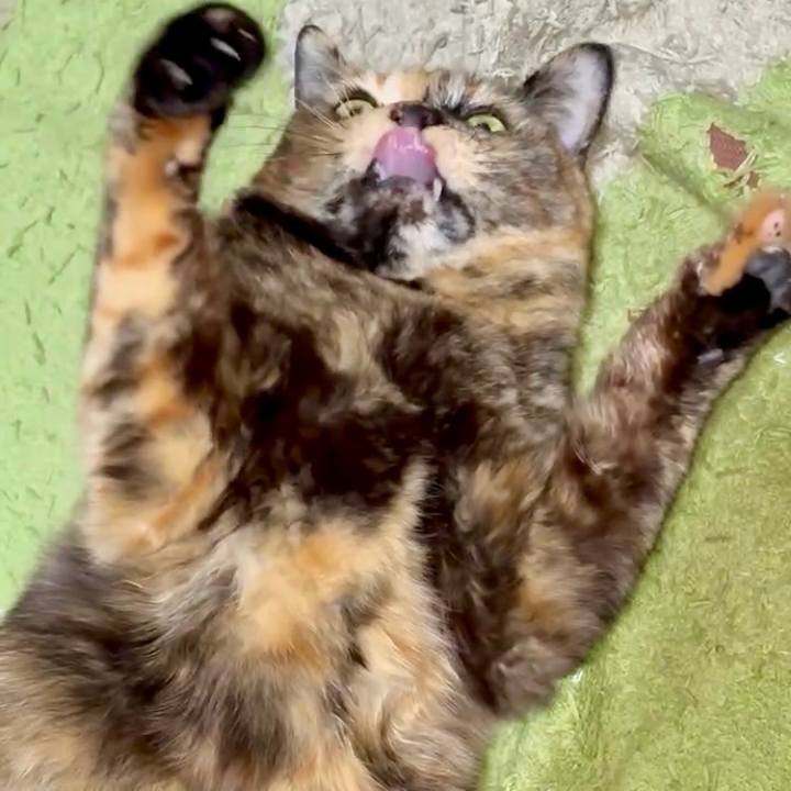 B088951e 86bd 4107 92b8 4edd3cc0a60c 1770667846083