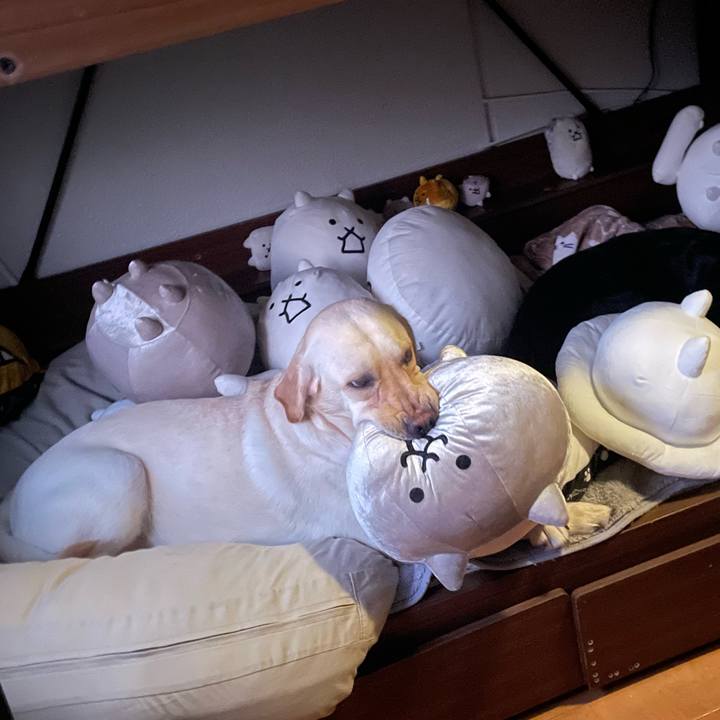 B088e522 ee05 4bc9 b995 89011b29f63a 1673233432390