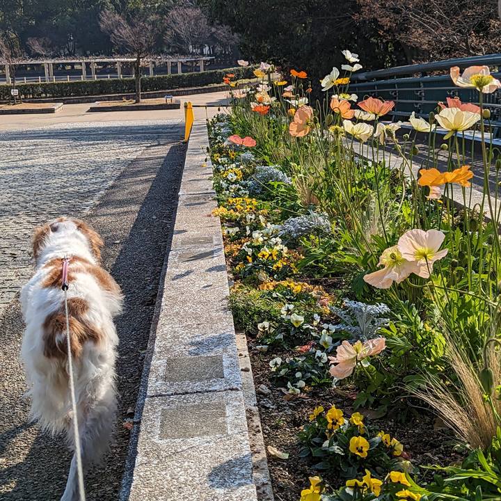 B08944ff 5031 4a65 a61a ca538d324a08 1673510595178