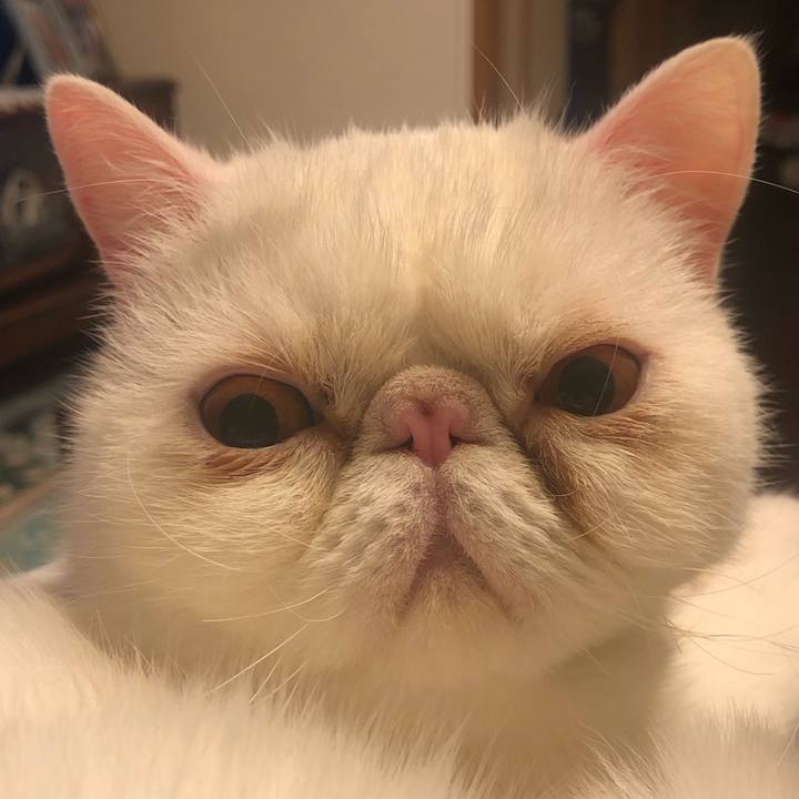 B0894f01 bfa7 4021 9292 179473296a20 1643977589118