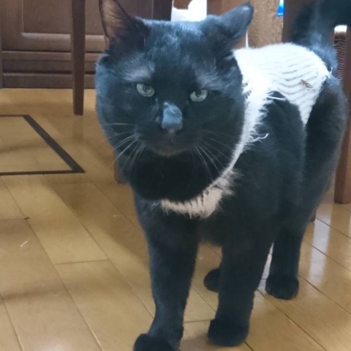 B0896205 ed3b 468b ab42 eb6e79ae23ce 1649061336319