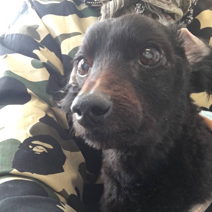 B0898070 927c 40b1 af1a 305ba36e341d 1551592135309