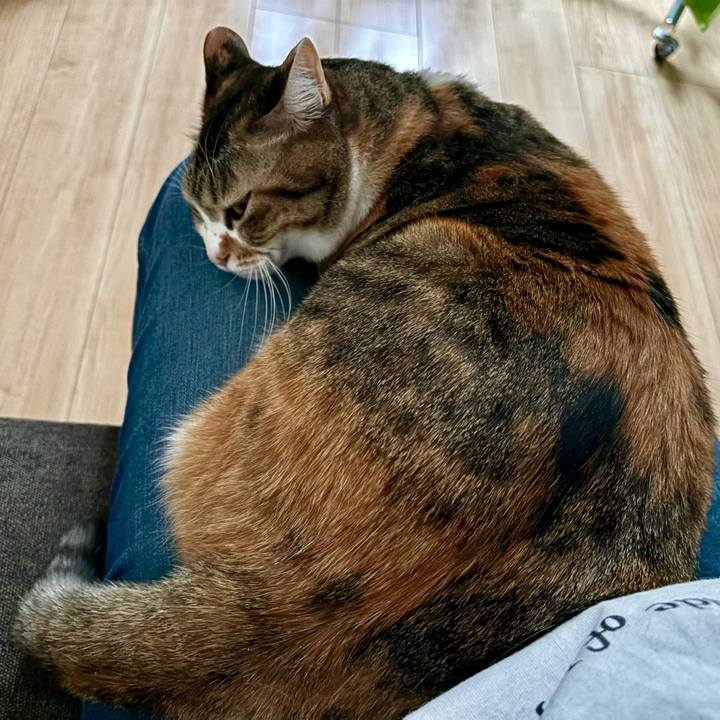 B0899ed3 e006 4d59 bd6f c16bda11ba46 1763364168777