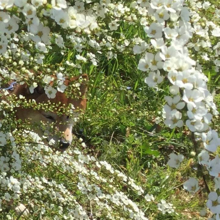 B089d44b 1589 4b46 b9c6 38b0c66dfcf5 1553060111326