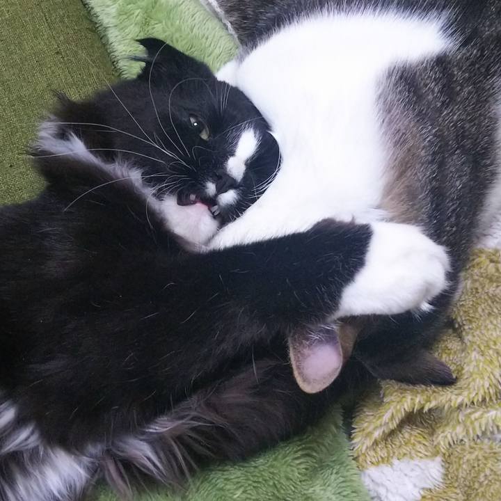 B089f34a c254 4743 8fca e0f7412c8353 1648521360922