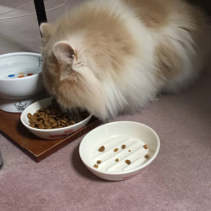 B089fba5 cda4 47d2 a344 5fc39d021e89 1549953754725