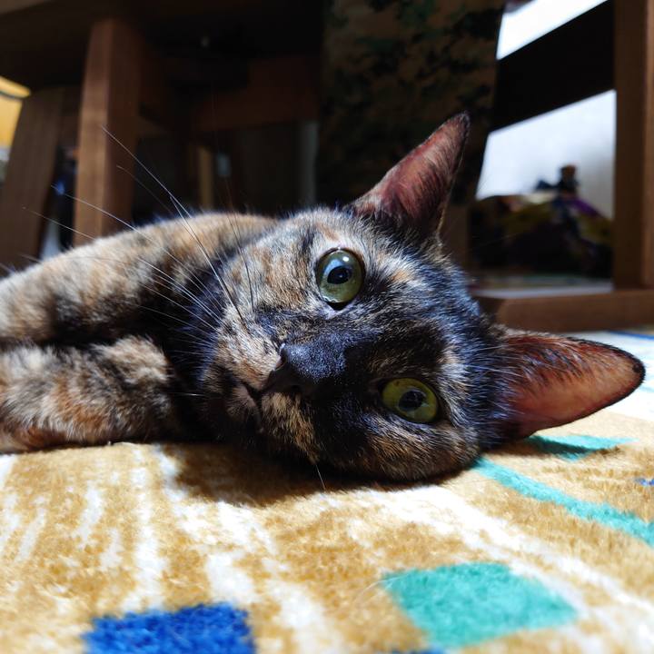 B08a0ef5 d1d1 46a6 bb2f 508536e6662d 1699783242007