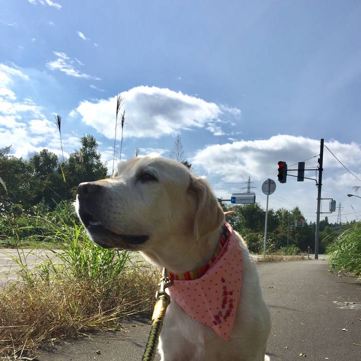 B08a1033 327a 436d a008 029f3e85fe84 1602769748910