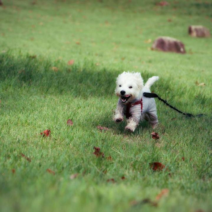 B08a6955 42d0 4ba1 8465 bf625f722929 1536207808125