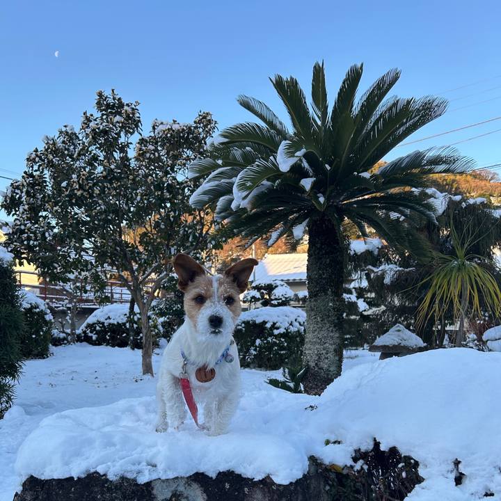 B08a8511 0203 4828 8b7b 77a0e0bec55a 1770590487306