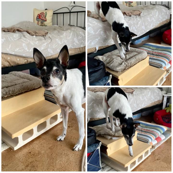 B08a8d8d df28 467a 836e b0c025d6602a 1615330633259