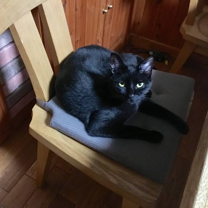 B08a9cf0 d2b5 402e 80c9 695cd90ef204 1522940556705