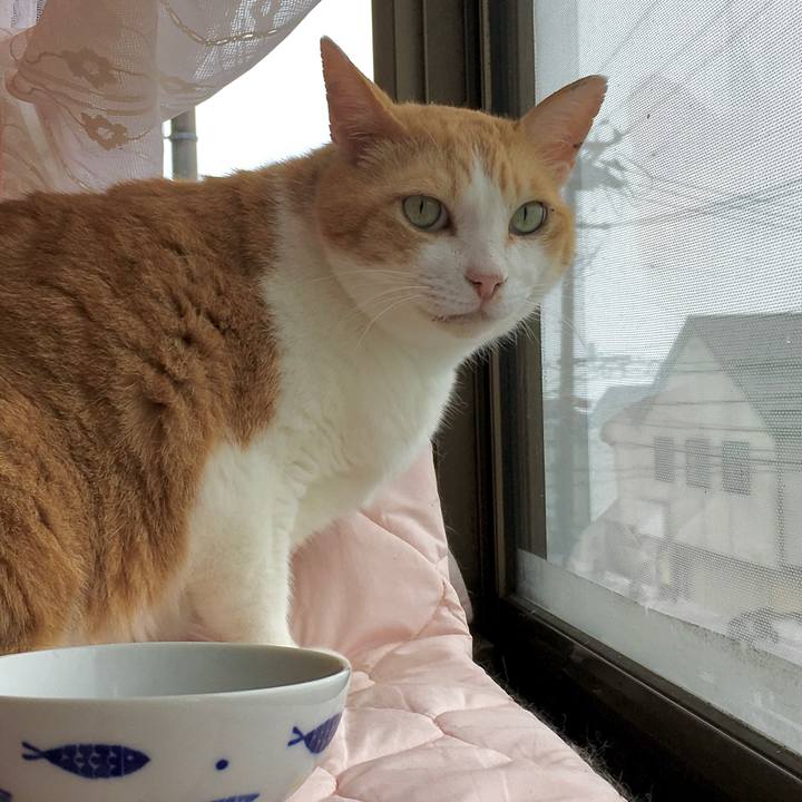 B08ab52b 2de7 4867 87cb e87d01289155 1598504265281