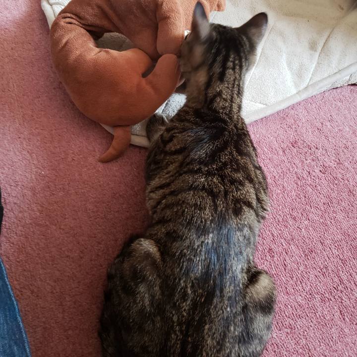 B08ab601 69c0 4bd3 8ebf f216bfcdb793 1546707053481