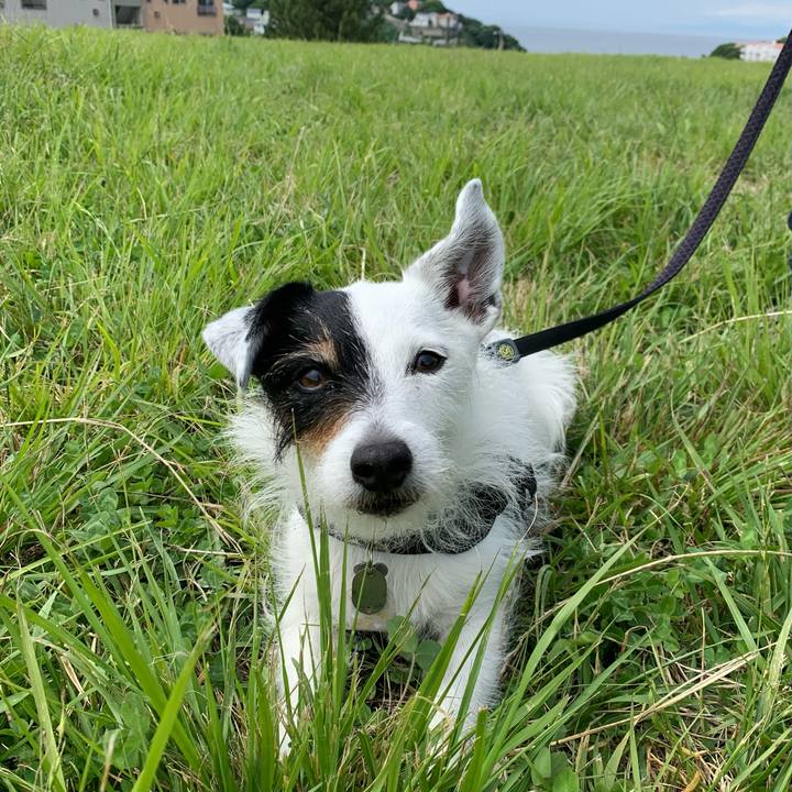 B08ac160 7c0c 42e4 8545 ef00babfe6b1 1717721845696