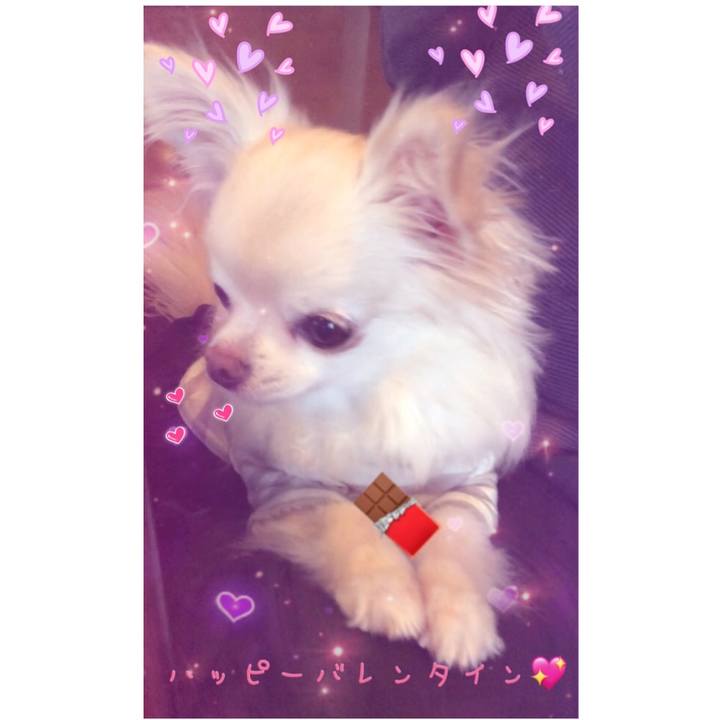 B08ae0c5 402b 4ffd b756 f3535ae61fab 1518605741167