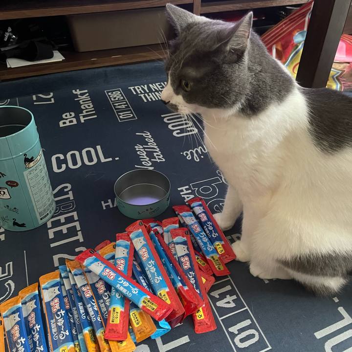 B08ae174 babf 4387 a9fc 315b917327b4 1693552249560