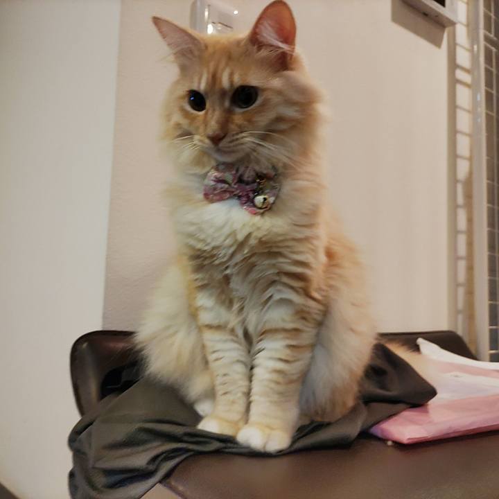 B08af154 06f6 4fb2 9478 860413e4ed05 1665149948367