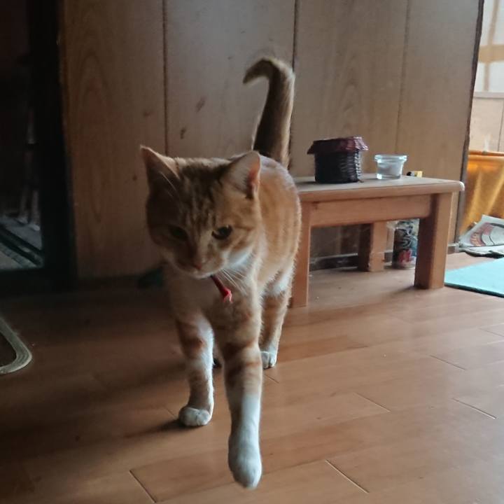 B08af29f b2d0 4f5d a787 ff8081b168d8 1573715486546