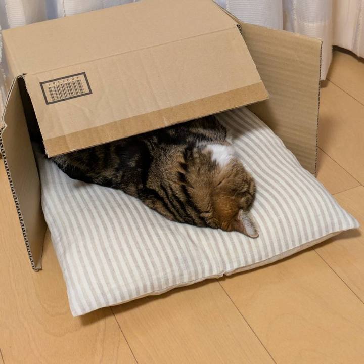 B08afeb1 5268 46c7 ba68 2edb2c18a049 1765258543885