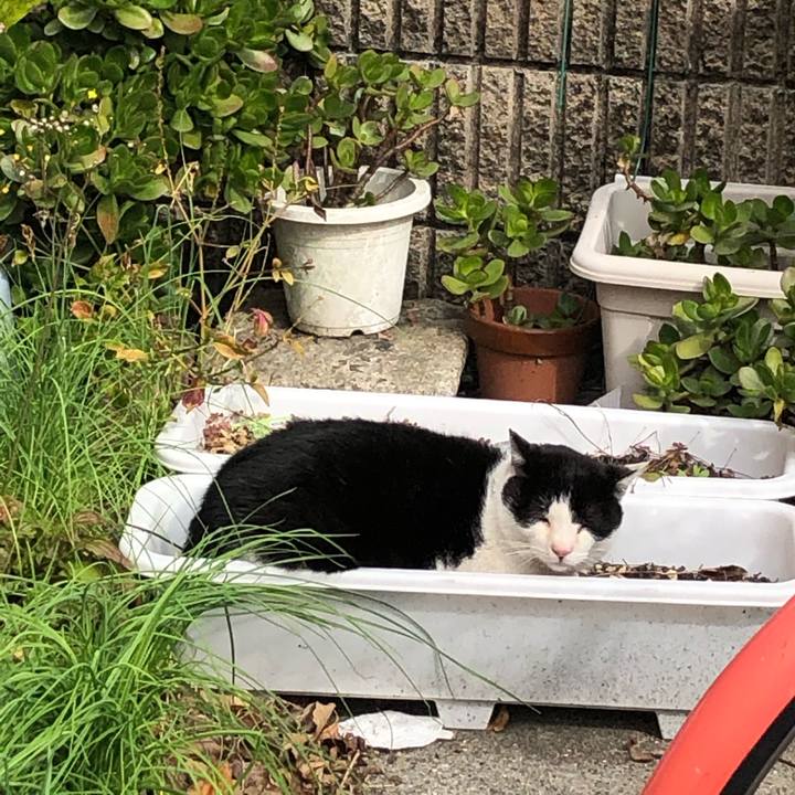 B08b3831 d914 4413 9d46 f3e8761da07d 1617085778092