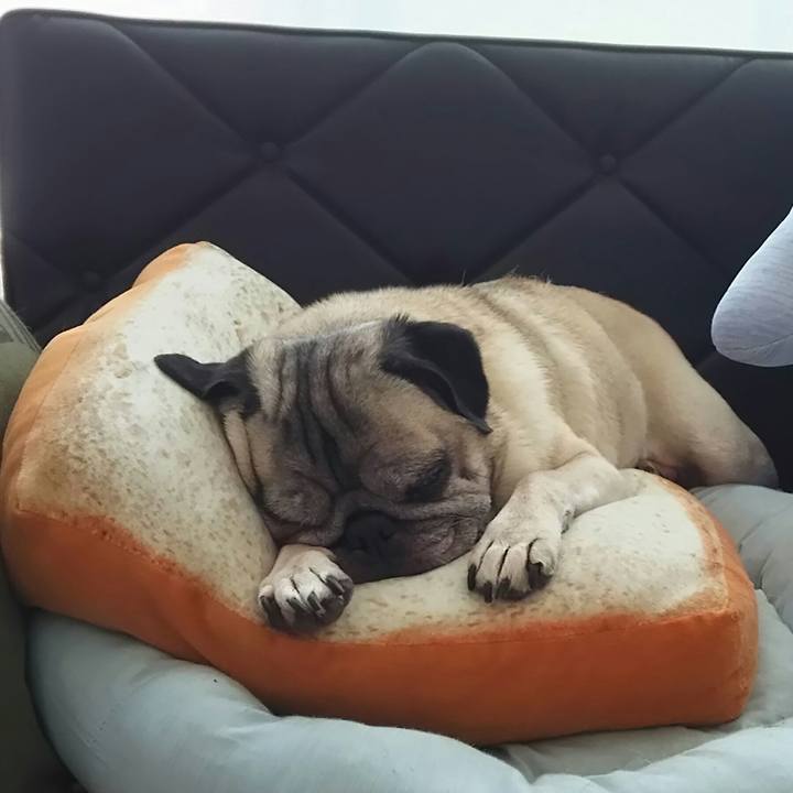 B08b4918 bbf0 41df aac7 e2fb6439e763 1533306332244