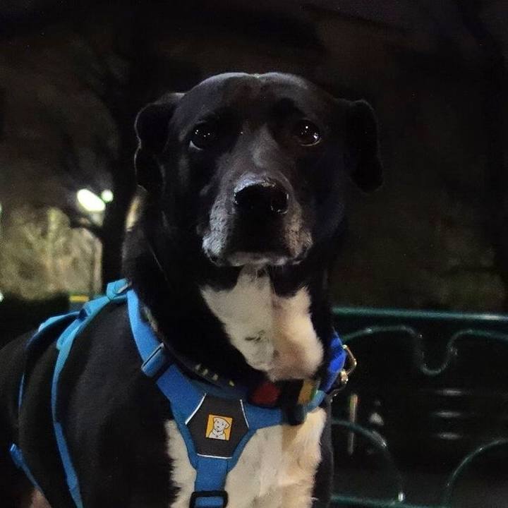 B08b5d1b 26b7 4a13 8651 0dd240ec7ea3 1679743022920