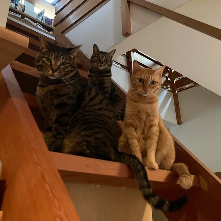 B08b61ef c28d 41e0 8530 9990656b995c 1695424898374