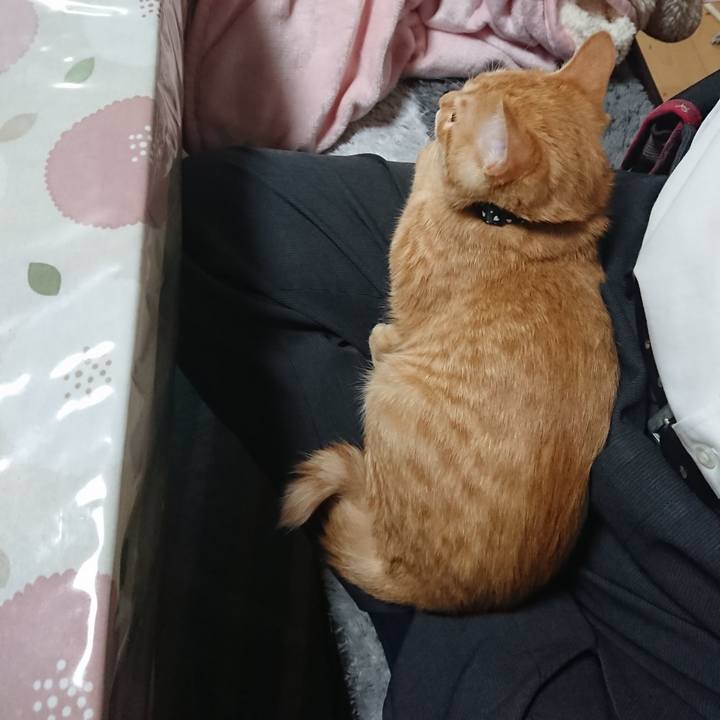 B08baf01 ae59 48fb b482 7cfe2aed6e18 1634162108310