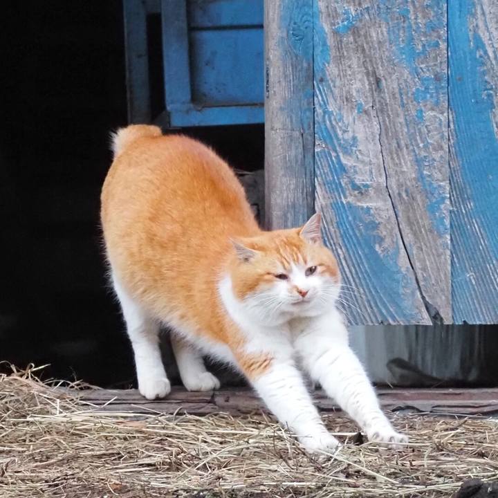 B08bbdd8 87d0 4e23 b14c a9e361486ade 1767006537582