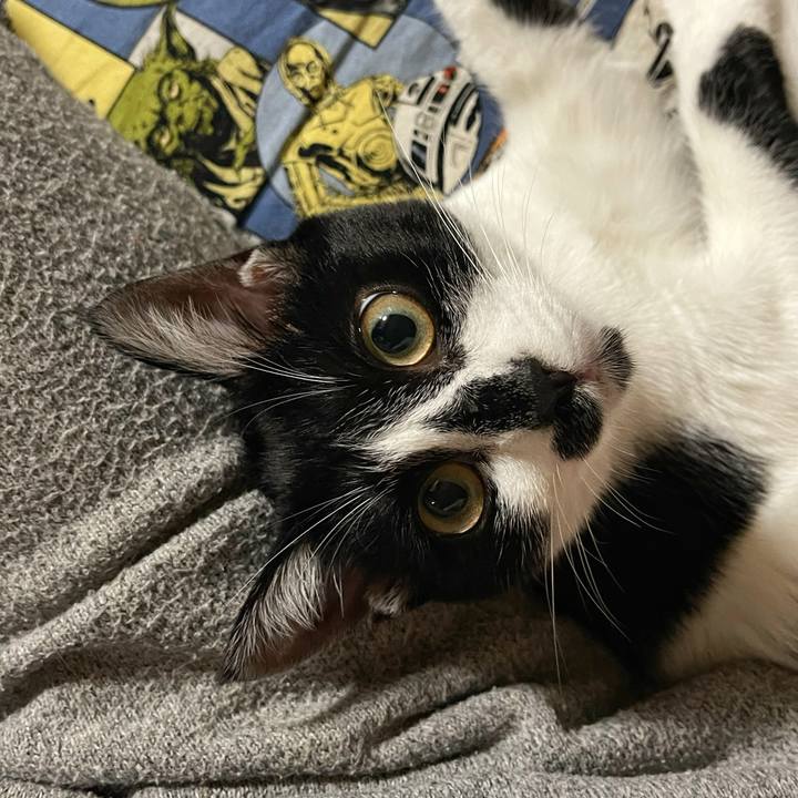 B08be4ac 5418 48c5 960d 296171914c03 1716505519389