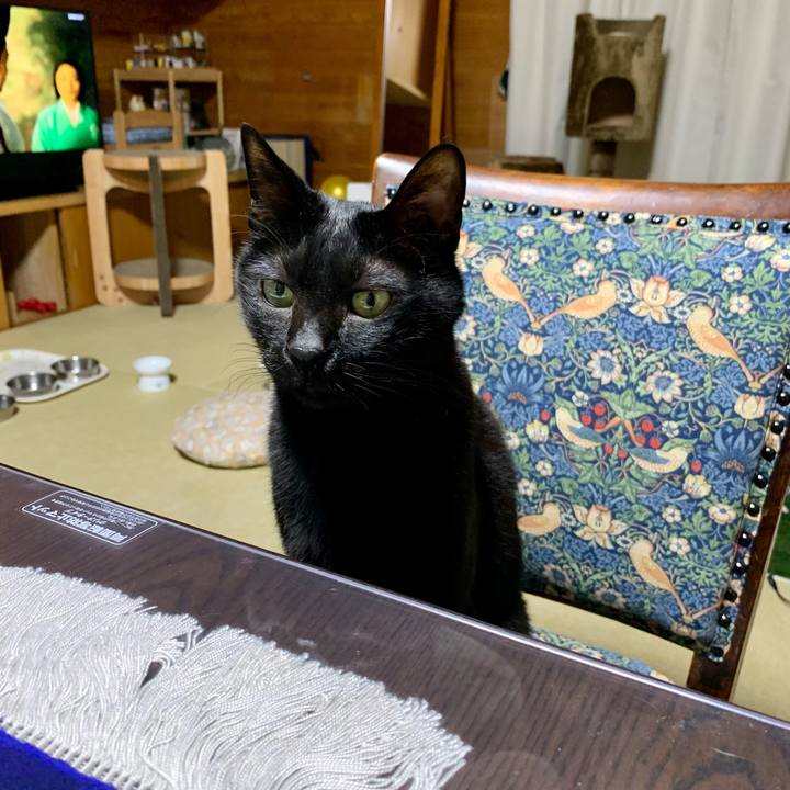 B08c2f4a e103 48b4 b7f1 0e8670b48502 1645954893995