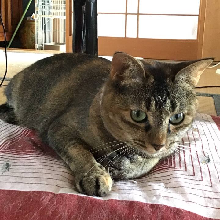 B08c7b50 7287 4047 86ed 43a5e8a98a47 1659776138092