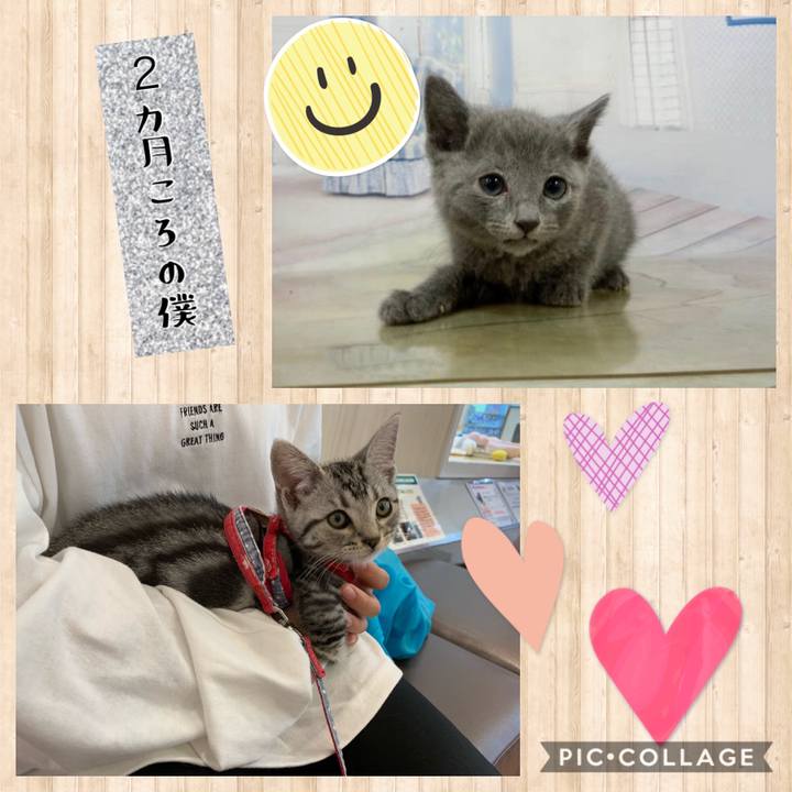 B08cbc89 b0ec 4e65 aa0f 077f6ba0661f 1603581113652