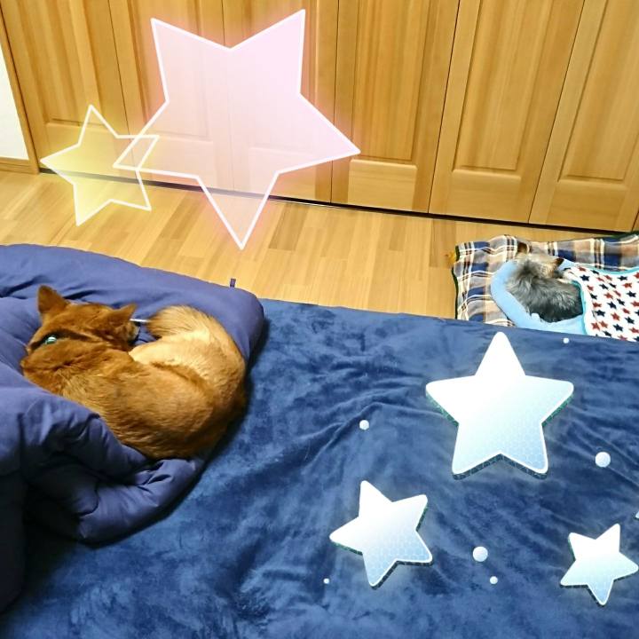 B08d16ff 9748 4723 ada6 ef29749a8be4 1517996086381