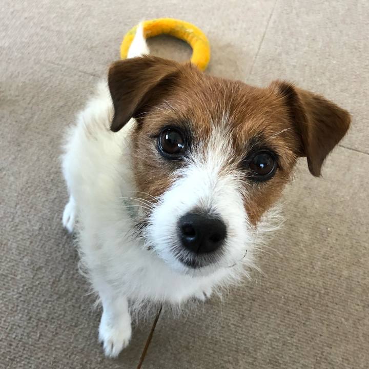 B08d1846 74f2 4e13 a639 cfecfcc8f5e3 1526797773820