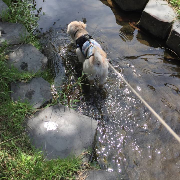 B08d386e 3dcd 4ffa 83b9 94e67f72ad5e 1537165370403