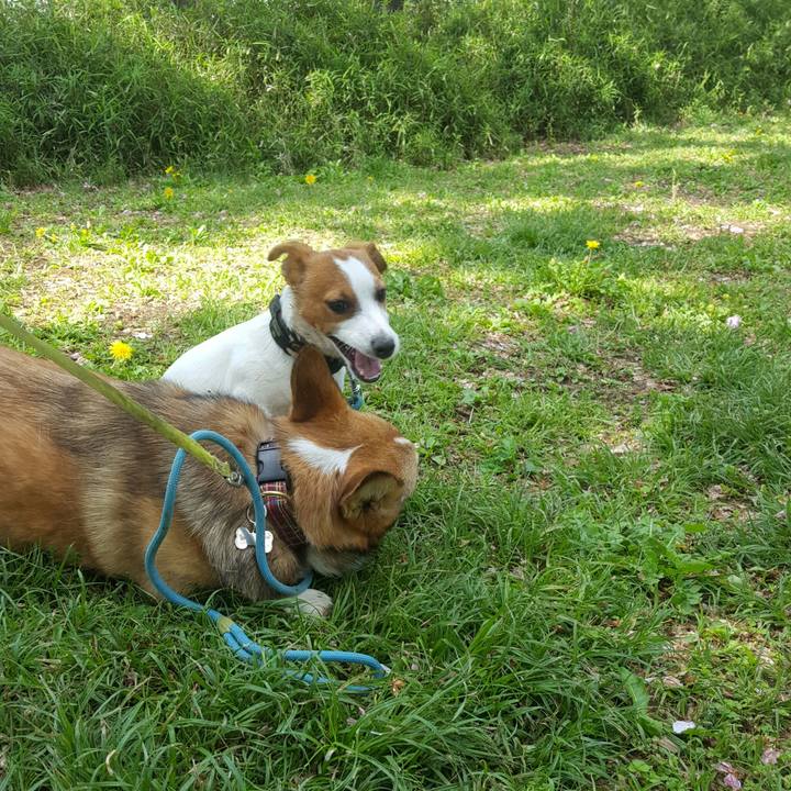 B08d59b7 8f2a 41c2 aeba cf5beae27ccb 1556932861842