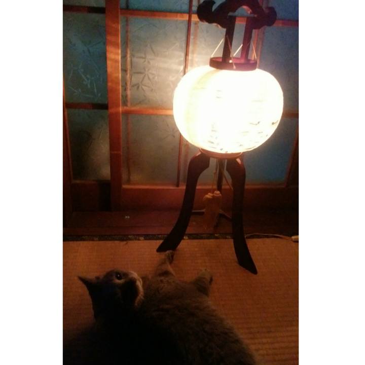 B08dca59 8fb7 40c3 bdee 307d9a9eb863 1534249635273