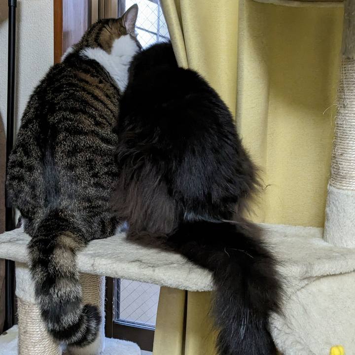 B08df472 62ec 4577 89de 494263f91486 1674081811337