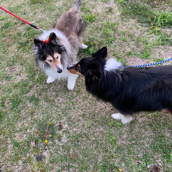 B08e1f19 6166 42d8 aeb6 53ce3678cc96 1556837988561