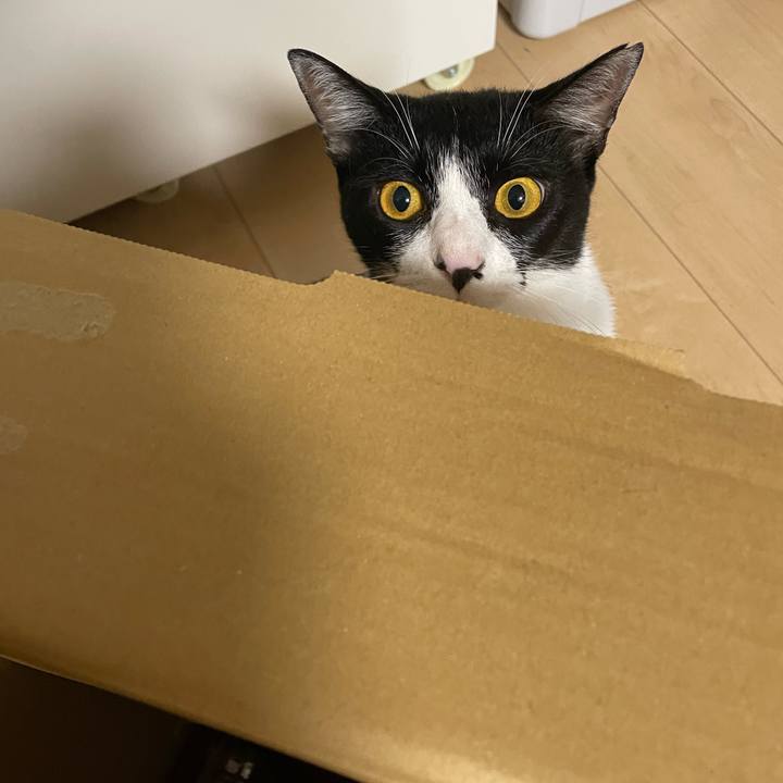 B08e41e4 2200 4a52 a44f be3a0471ef79 1692826308646