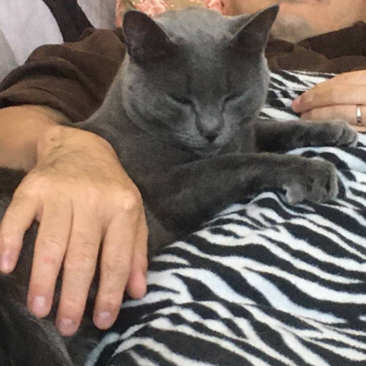 B08e4322 fb60 437a a538 3ac94f51efdd 1645302213010