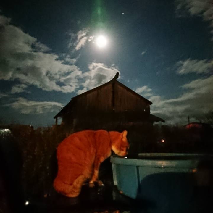 B08e62e6 ade0 49a8 866e 15855013ce5c 1604053369365